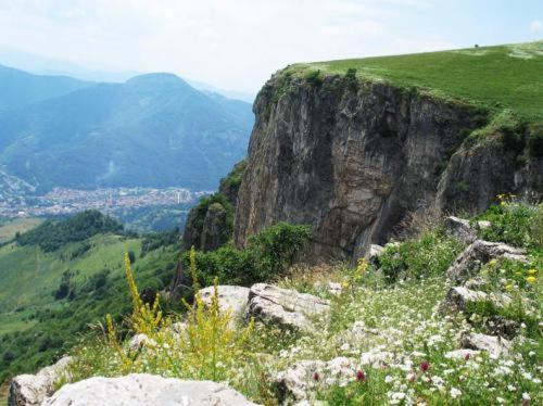 Отель Villa Cherven