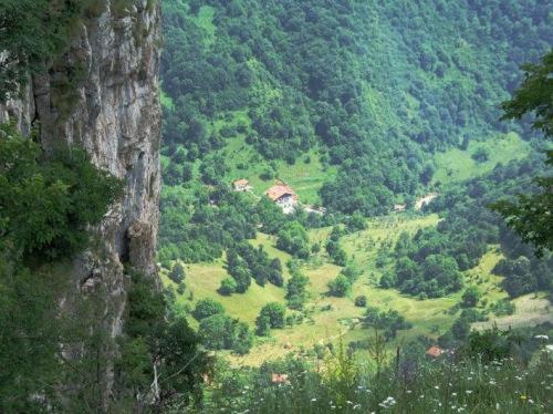 Отель Villa Cherven