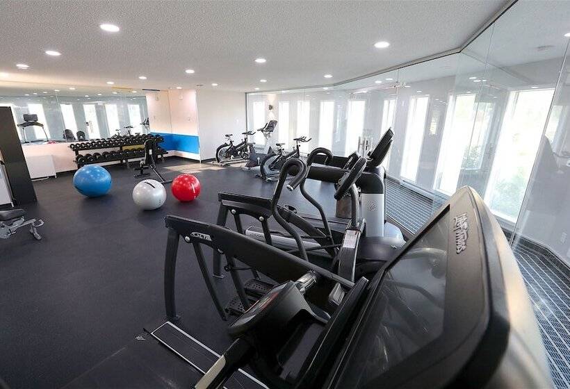 모텔 Medicine Hat Inn & Suites