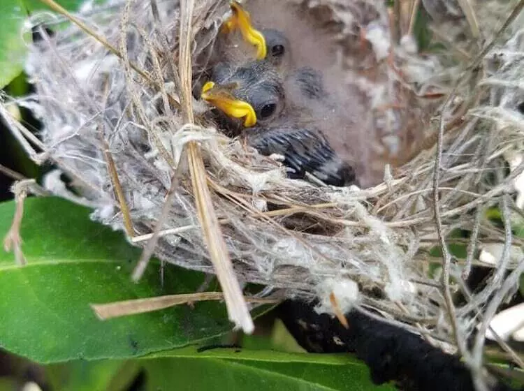 The Heights Bed & Breakfast