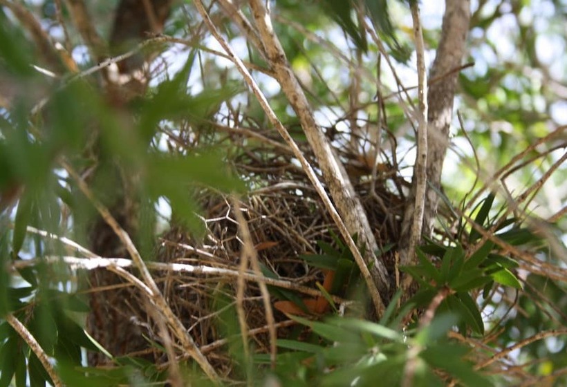 The Heights Bed & Breakfast