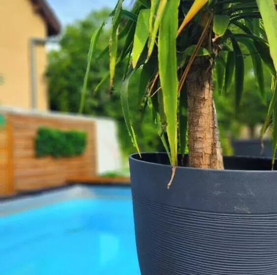 Hotelli La Magnifique Villa