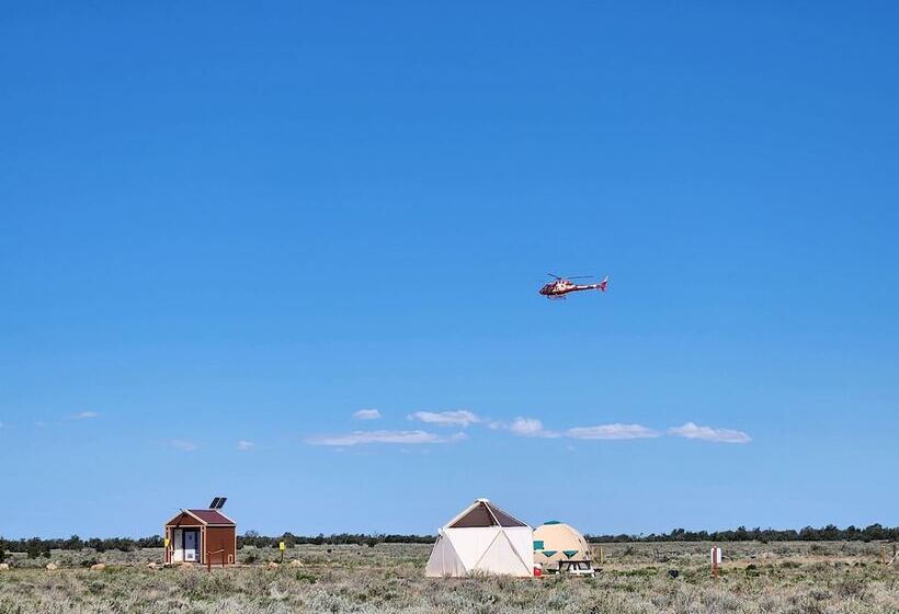 فندق Raptor Ranch Little Owl 1