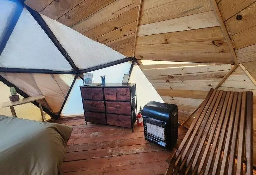 Hotelli Raptor Ranch Little Owl 1