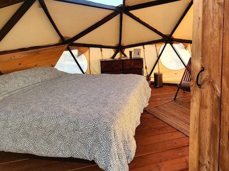 فندق Raptor Ranch Little Owl 1