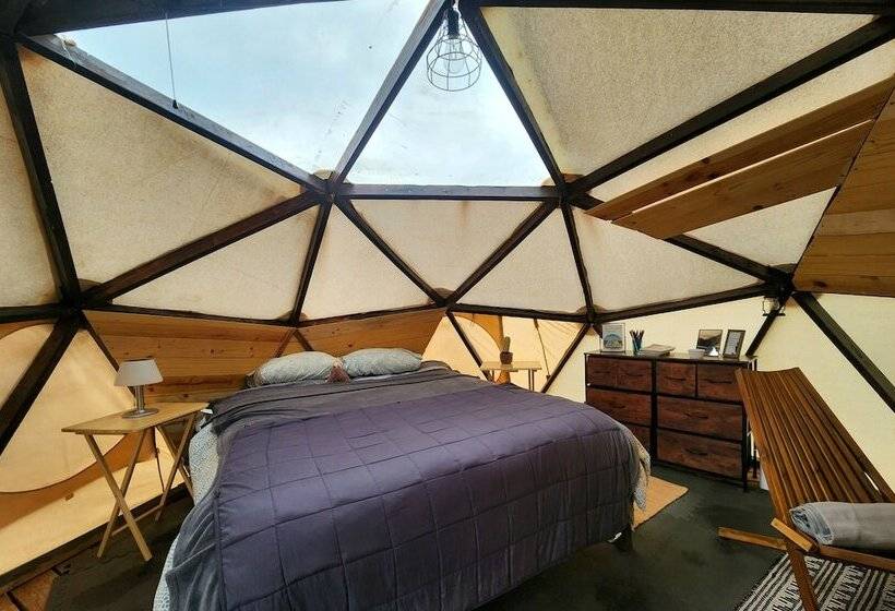 فندق Raptor Ranch Little Owl 1