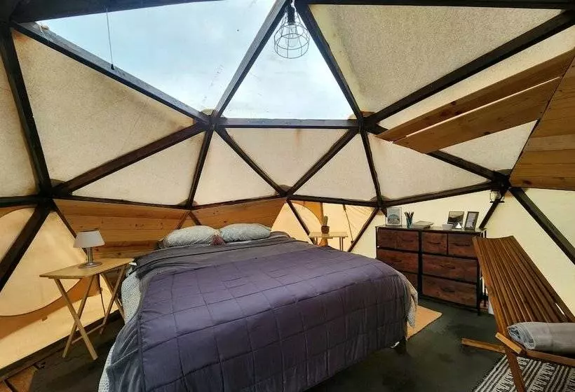 Hotelli Raptor Ranch Little Owl 1