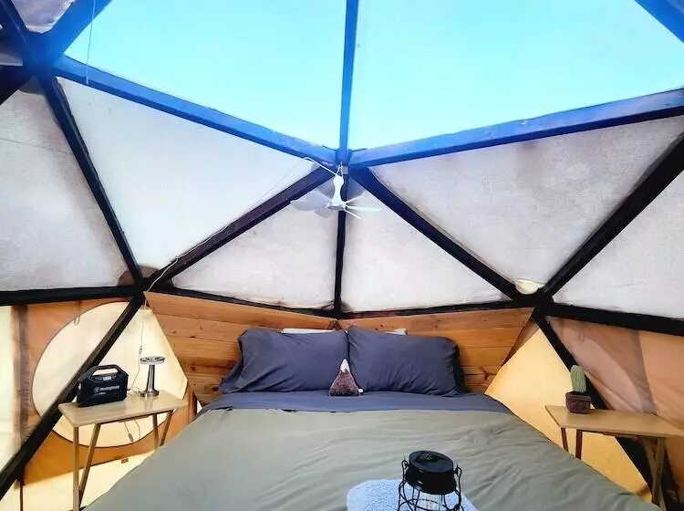 Hotelli Raptor Ranch Little Owl 1