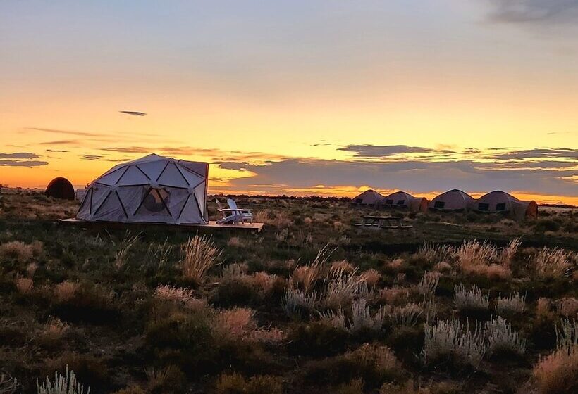 فندق Raptor Ranch Little Owl 1