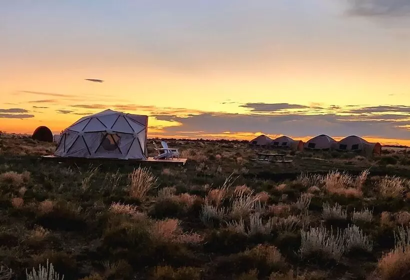 Hotelli Raptor Ranch Little Owl 1