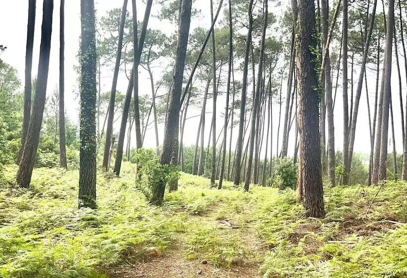 Majatalo Guest House Folk Inn