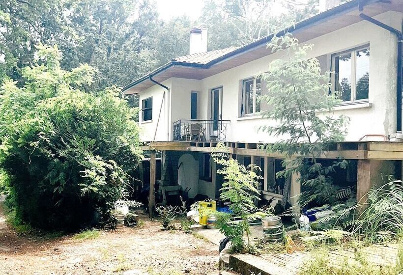 펜션 Guest House Folk Inn