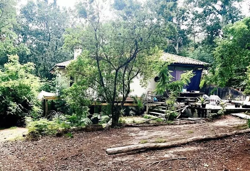 Majatalo Guest House Folk Inn