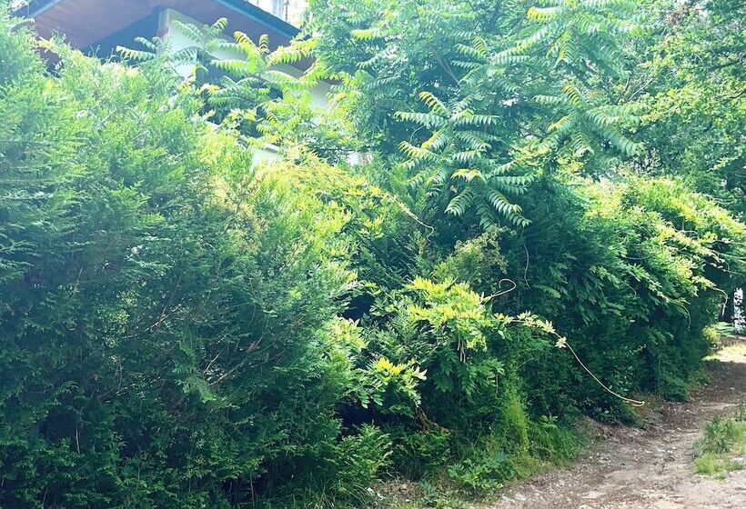 펜션 Guest House Folk Inn