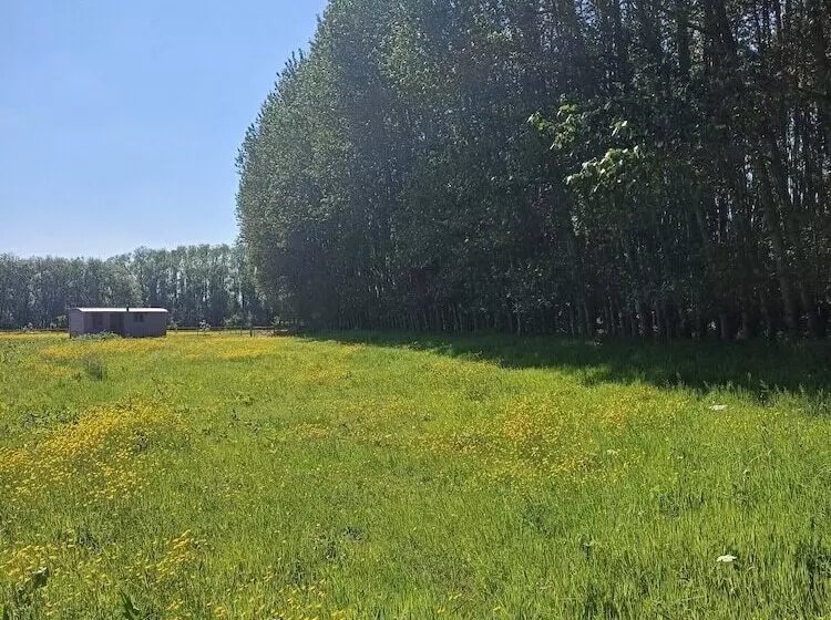 The Heartwood   Luxury Cabin Near York