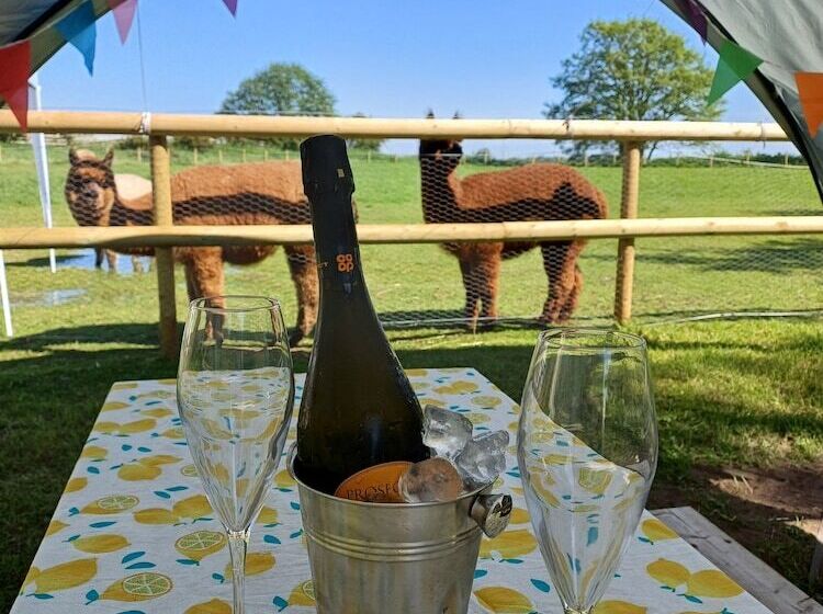 The Heartwood   Luxury Cabin Near York