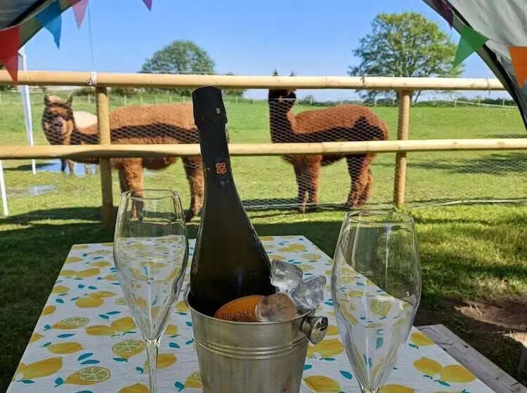 The Heartwood   Luxury Cabin Near York