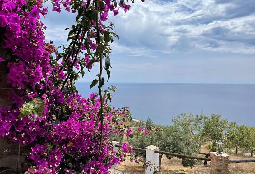 Belvilla By Oyo La Suerte Crisantemo