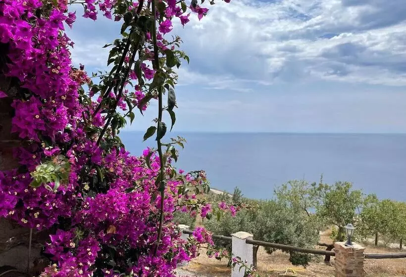 Belvilla By Oyo La Suerte Crisantemo