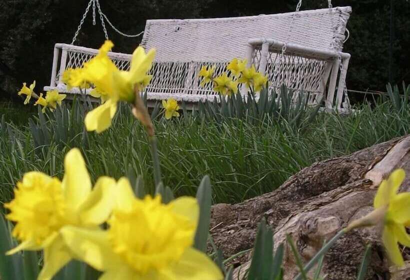 민박 The Essex Inn