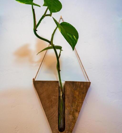 مبيت وإفطار The Loubird Inn