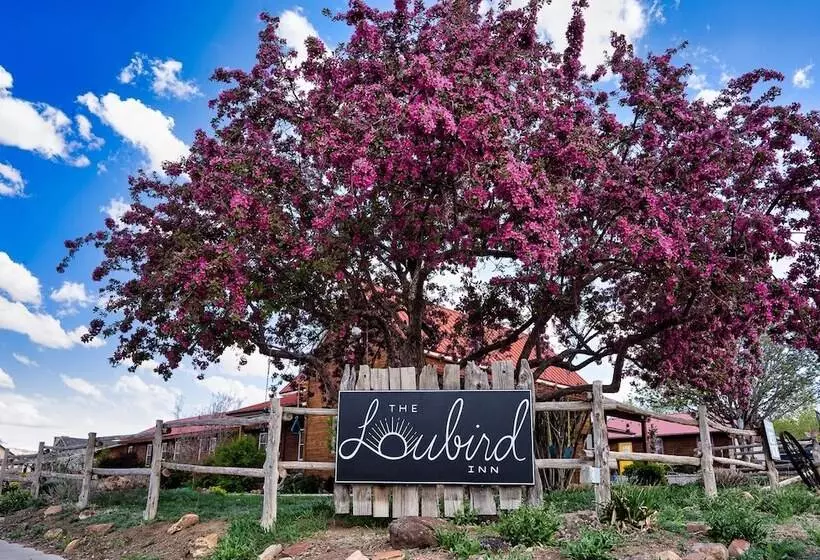 ベッドアンドブレックファースト The Loubird Inn