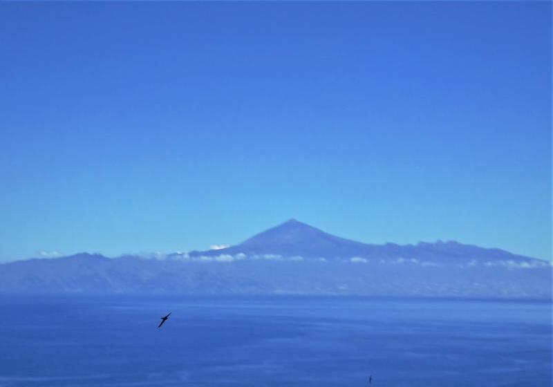 Casa Rural Los Helechos
