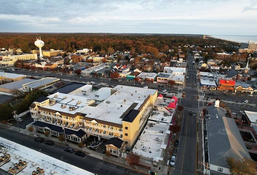 فندق Avenue Inn & Spa