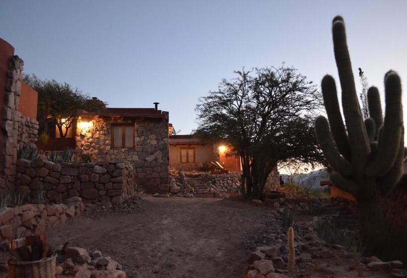 호텔 Cerro Chico Lo Del Frances