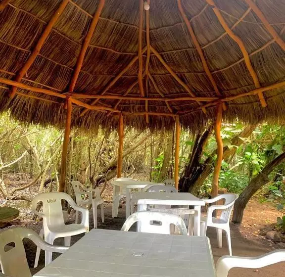Hotelli Manglar Pacific