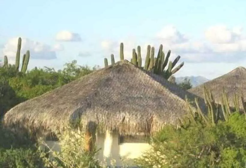 Hotelli Palapas Ventana