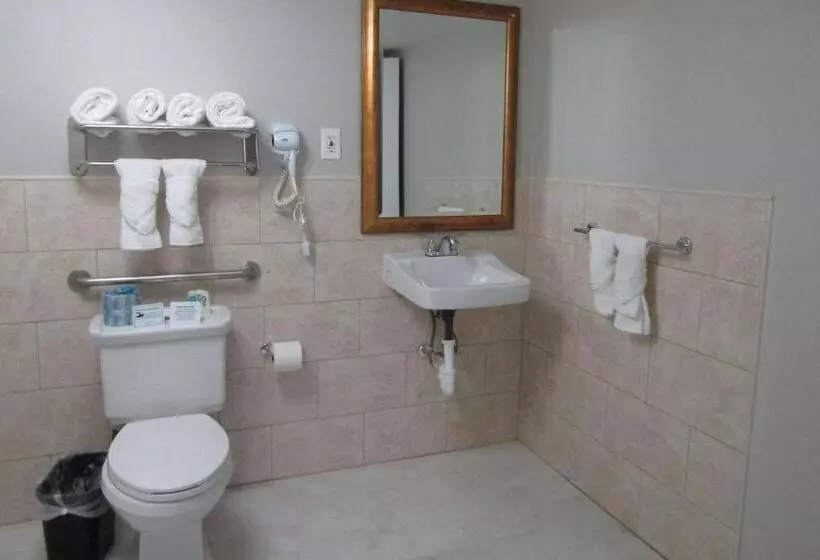 Hotelli Quality Inn & Suites Kissimmee By The Lake