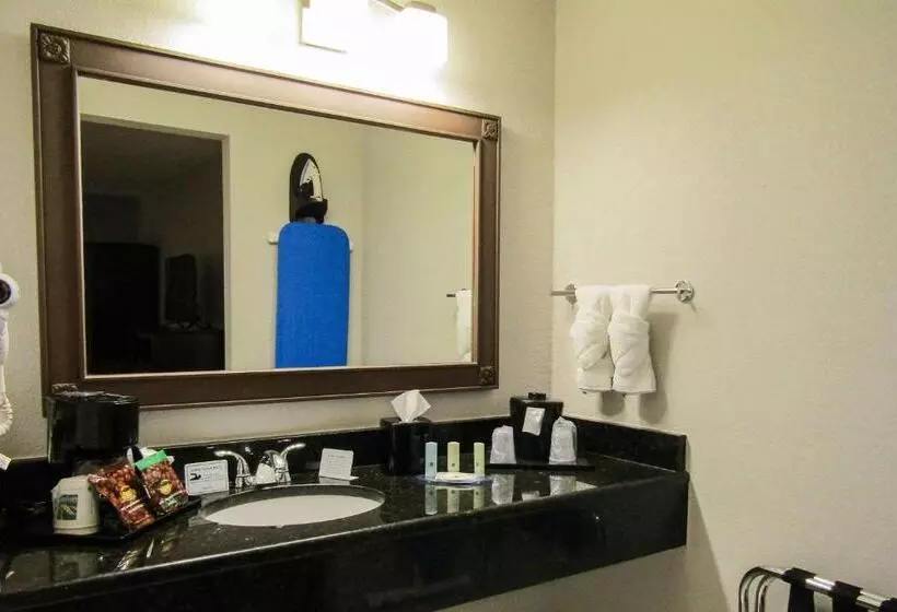 Hotelli Quality Inn & Suites Kissimmee By The Lake