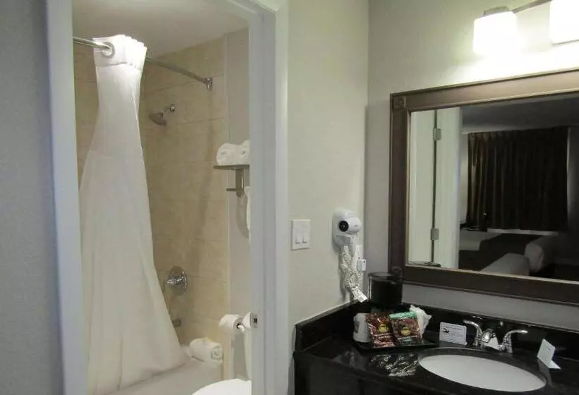 Hotelli Quality Inn & Suites Kissimmee By The Lake