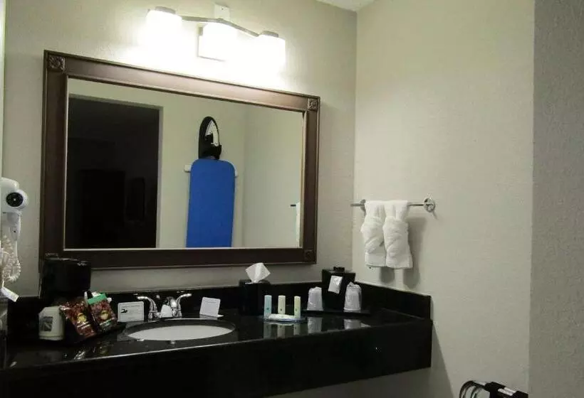 Hotelli Quality Inn & Suites Kissimmee By The Lake