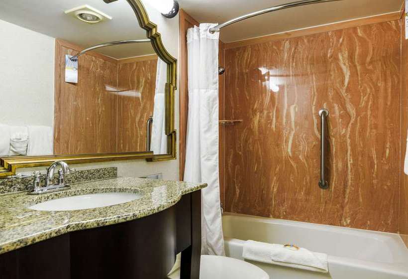 Отель Quality Inn & Suites