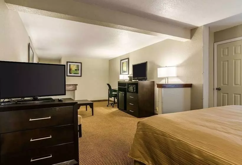Hotelli Quality Inn & Suites