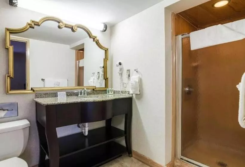 Hotelli Quality Inn & Suites