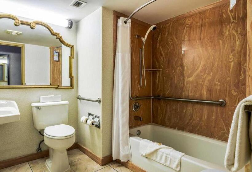 Отель Quality Inn & Suites