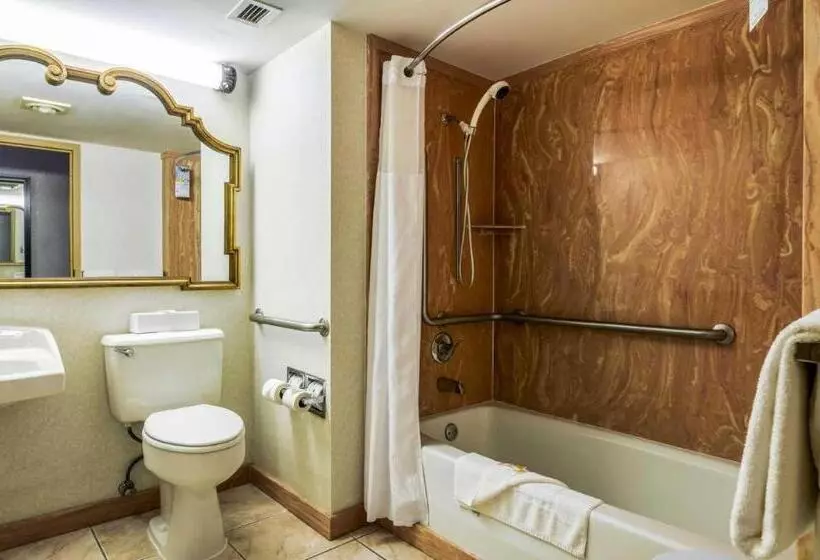 Hotelli Quality Inn & Suites