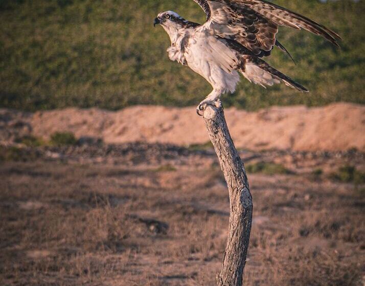 호텔 Villas Mar Y Arena