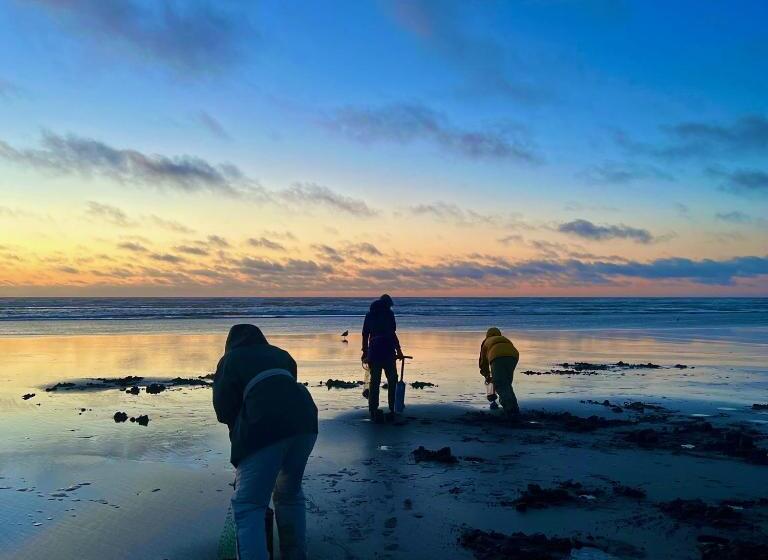 Lighthouse Oceanfront Resort