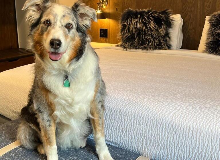 Lighthouse Oceanfront Resort