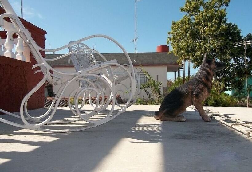 پانسیون Hostal Belkis