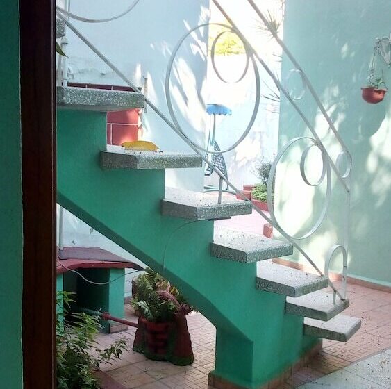 پانسیون I Colibrí