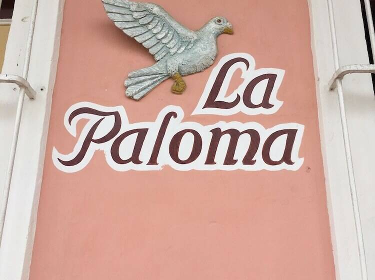پانسیون Hostal La Paloma