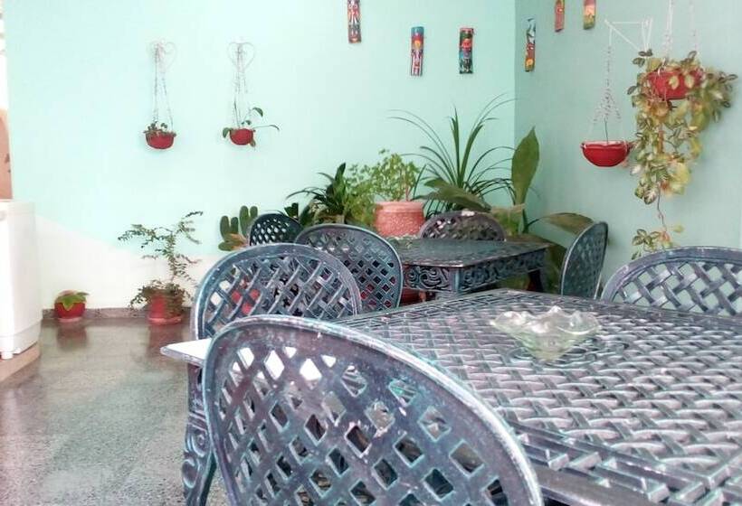 پانسیون I Colibrí