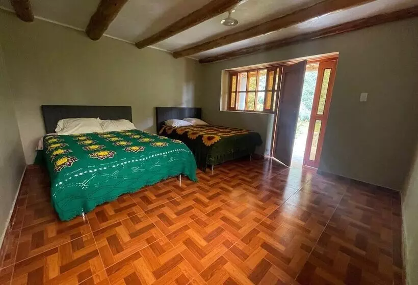 Albergue Casa De Piedra   Vaquería