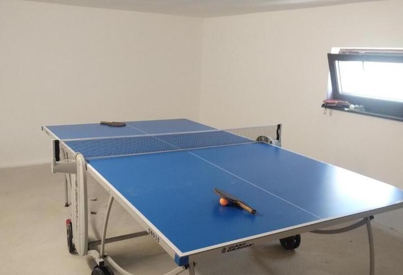 酒店 Pensiunea Anna