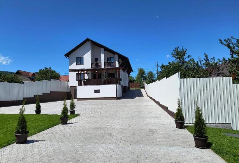 酒店 Pensiunea Anna